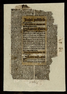 Postilla super Epistolas et Evangelia de tempore et de sanctis per totius anni circulum