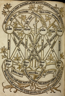 Super arboribus consanguinitatis, affinitatis et cognationis spiritualis